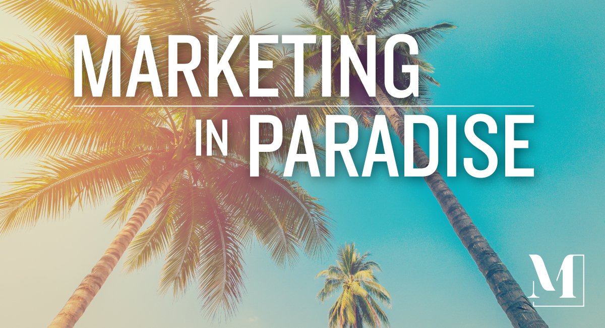 Photo of a palm tree with the words "marketing in paradise."